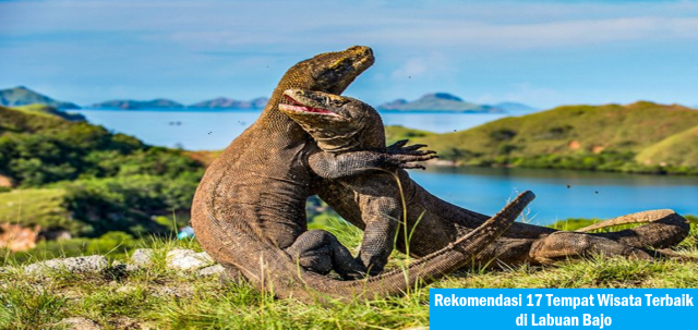 Rekomendasi 17 Tempat Wisata Terbaik di Labuan Bajo