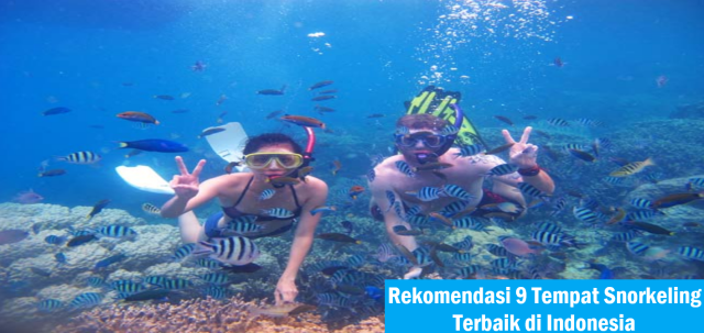 Rekomendasi 9 Tempat Snorkeling Terbaik di Indonesia