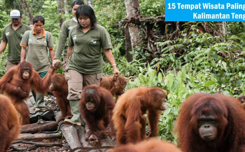 15 Tempat Wisata Paling Populer di Kalimantan Tengah